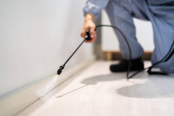 Licensed Pest Control service in Elizabeth, CO - Show Me Pest Control