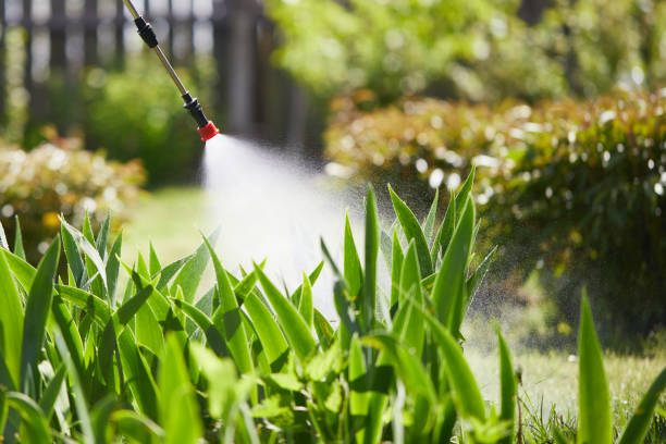 24/7 Emergency Mosquito Control experts in Elizabeth, CO