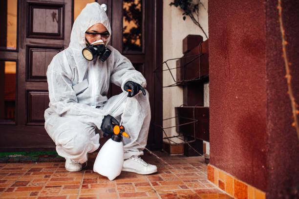 Reliable Mosquito Control contractor in Elizabeth, CO by Show Me Pest Control